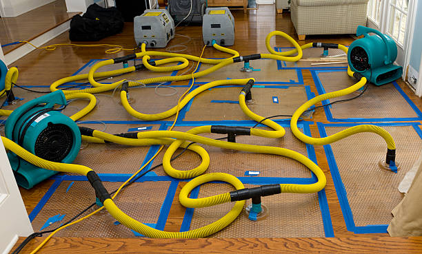 Professional Water Extraction technician working in Cairo, MO